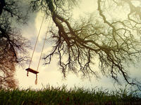 Swing